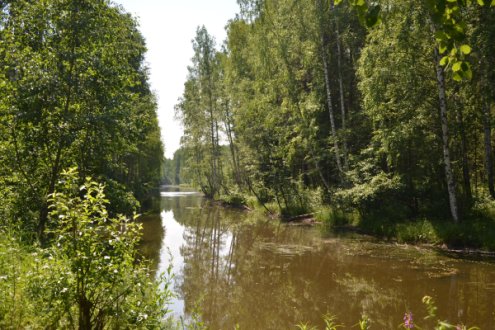 Черноисточинский пруд с Ушковской канавой и окружающими лесами